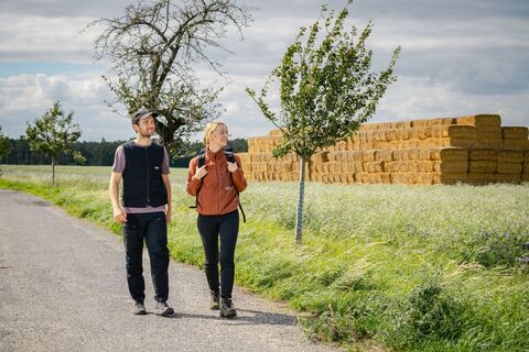 Wandern im Zschornaer Teichgebiet - hier am Feldrand bei Kleinnaundorf
