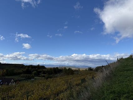 Foto von Ilona Schuster entlang der Tour