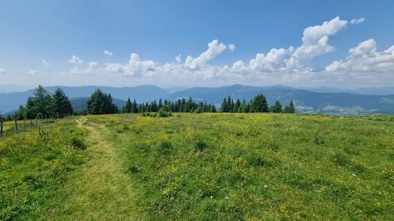 Foto von Oli Heise entlang der Tour