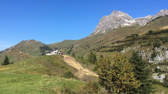 Widderstein und Holzbodenalpe
