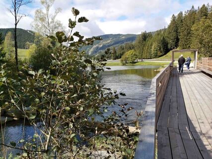 Moorlehrpfad Teichalm_Naturpark Almenland_Oststeiermark