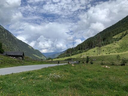 Foto von Koen De Wit entlang der Tour