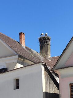 Foto von stuebi entlang der Tour