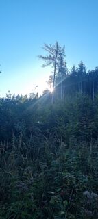 Zdjęcie z Mario Libardi wzdłuż trasy