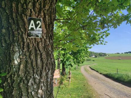 Wanderwegmarkierung