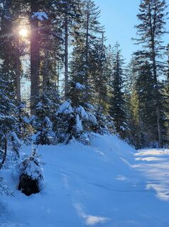 Foto von Marianne entlang der Tour
