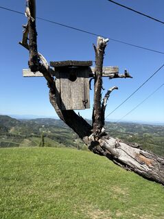 Kuva osoitteesta Reinhard Frewein matkan varrella