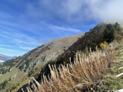 Photo de gabriel bardon le long du parcours