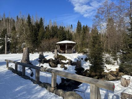 Foto de Ronald Bartel a lo largo del recorrido