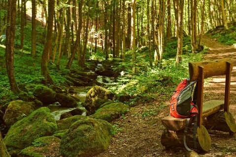 Ruhepause in der Steinbachklamm zwischen Marbach und Maria Taferl
