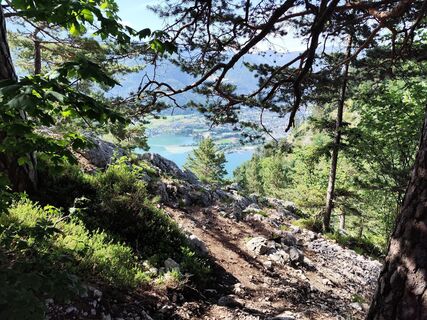 Fotografija s spletne strani Margit Leitner 1 na poti