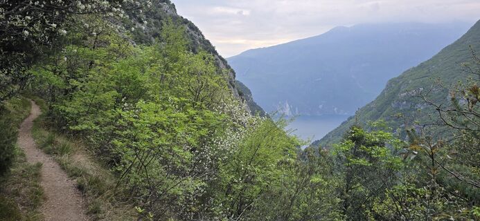 Fotografija s spletne strani Jens Uwe Kracht na poti