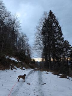 Foto von Nicki Lehner entlang der Tour