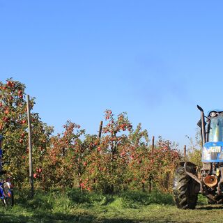 Obstplantage bei Leisnig
