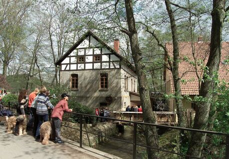 Radeln auf der Niedersäschischen Mühlentour