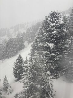 Zdjęcie z Peter Ninausz wzdłuż trasy