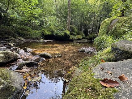 Fotografija s spletne strani Adnan Cemal na poti