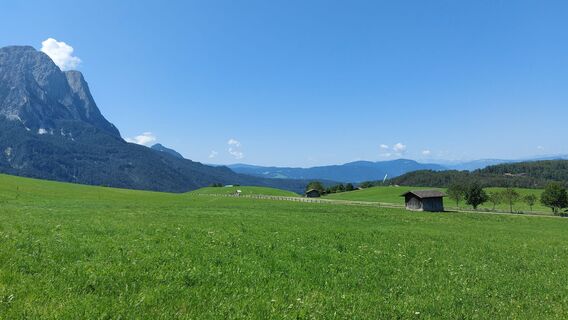 Foto von Anita Scherhag entlang der Tour