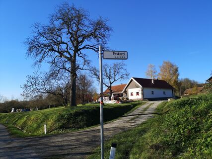 Photo de Cvetka Salamon le long du parcours