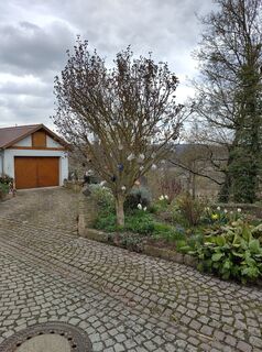 Foto von Januar Y entlang der Tour