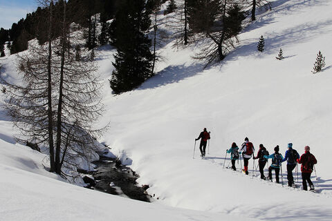 Schneeschuhwanderung mit dem Nationapark Ranger