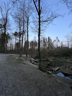 Foto de Kathrin N. a lo largo del recorrido