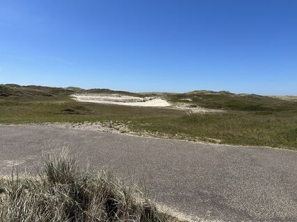 Photo de Michael Pink le long du parcours