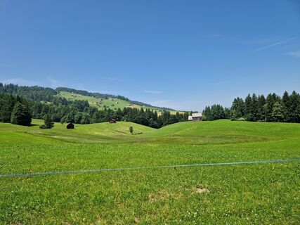 Foto de Zahner Petra a lo largo del recorrido