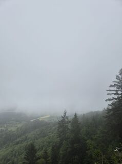 Fotografija s spletne strani Anna Kopfmüller na poti