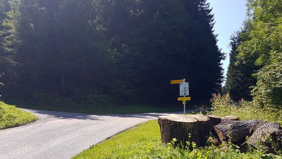 0.8 km Abzweigung Wasserlehrpfad