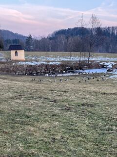 Zdjęcie z Daniel Vogel wzdłuż trasy