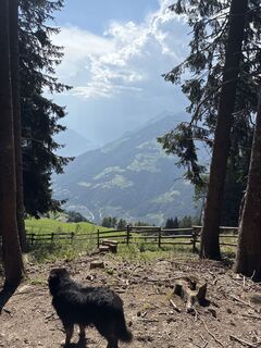 Photo de Andreas Salscheider le long du parcours