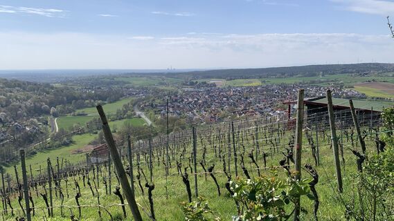Fotografija s spletne strani outdoor_rue na poti