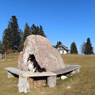 Fotografija s spletne strani Prinzi na poti
