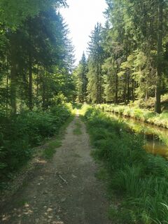 Foto von Waldläufer entlang der Tour