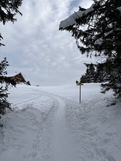 Фото с сайта Heinz Sperl во время экскурсии