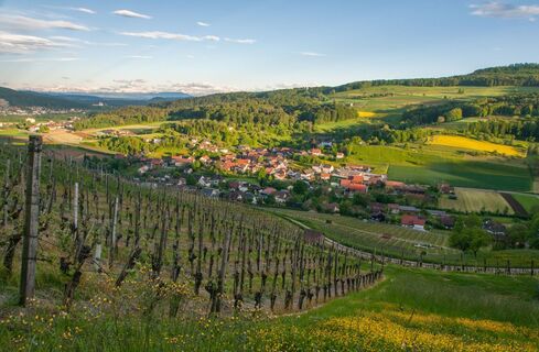 Postauto-Walking-Trail im Schenkenbergertal