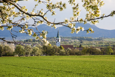 Blick auf Ostdorf