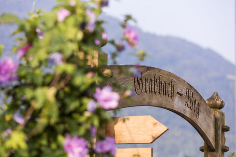 Suedtirol, Algund, Sommer 2019, Grabbach-Weg,