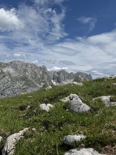 Fotografija s spletne strani Gerti Hartmann 79 na poti