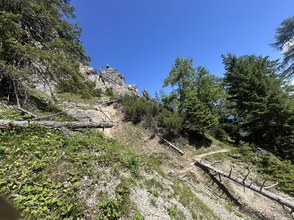 Fotografija s spletne strani Martin na poti