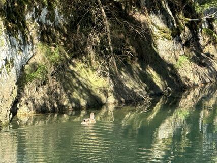 Foto von Norbert Herbig entlang der Tour