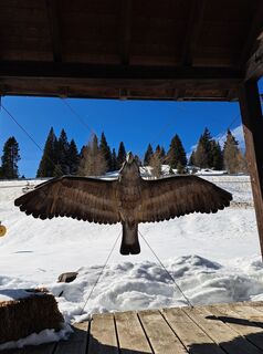 Fotó a Daniela König 1 honlapról a túra során