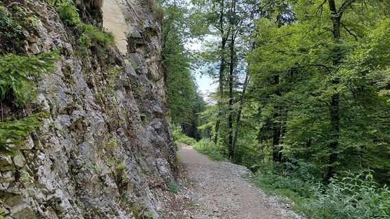 Foto von Wolfgang Arlic 1 entlang der Tour