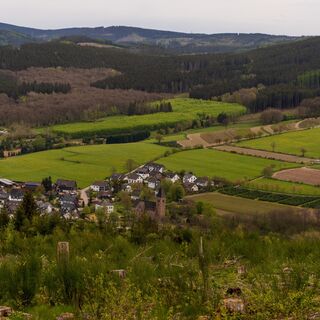 Blick auf Albaum