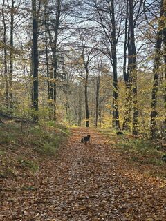 Foto de Jonas Scheermesser a lo largo del recorrido