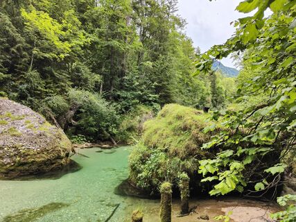 Fotografija s spletne strani Bernhard_S na poti