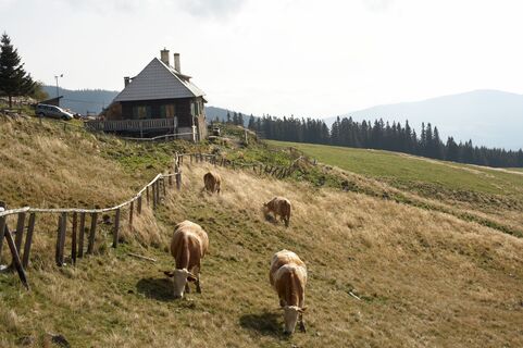 Feistritzer Schwaig