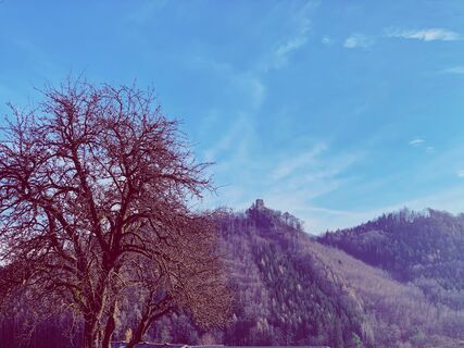 Foto von Leo Fahrngruber entlang der Tour