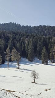 Zdjęcie z Alessio Sacco wzdłuż trasy